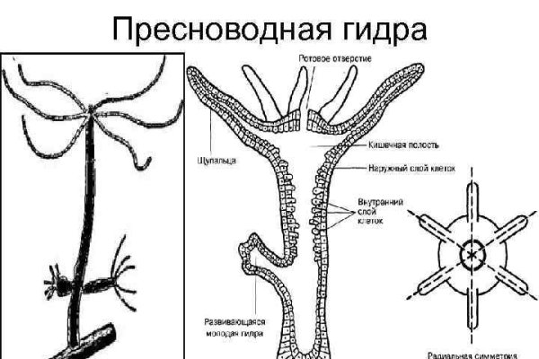 Кракен маркетплейс в россии